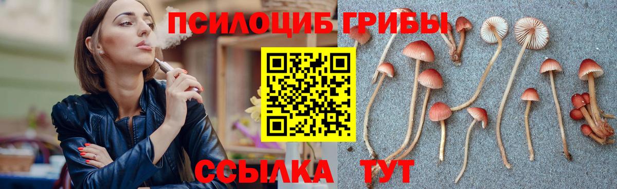 Псилоцибиновые грибы Magic Shrooms Родники