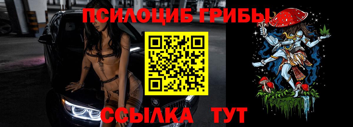 Родники  как найти закладки  Вход с VPN  Псилоцибиновые грибы GOLDEN TEACHER 